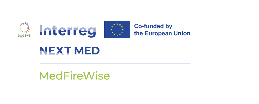 MedFireWise Project Logo